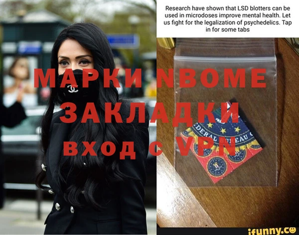 молекула духа Вяземский