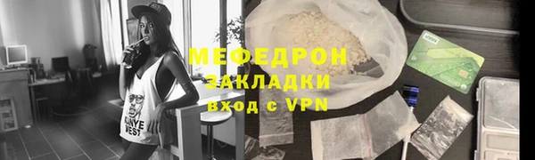 молекула духа Вяземский