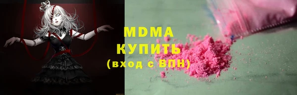 молекула духа Вяземский